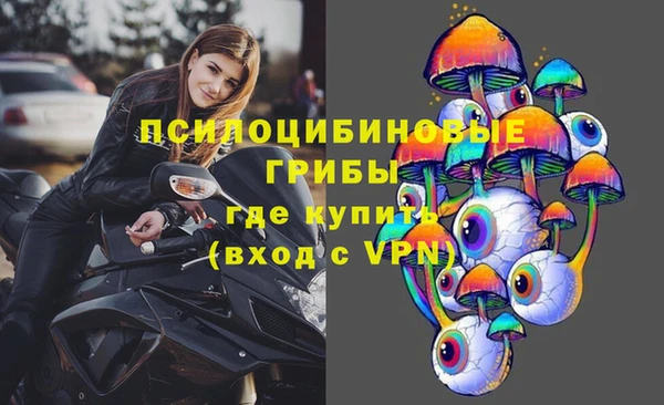 бутират Пестово