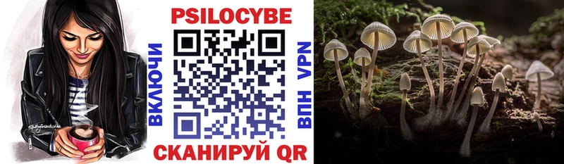 Галлюциногенные грибы Magic Shrooms  Переславль-Залесский 