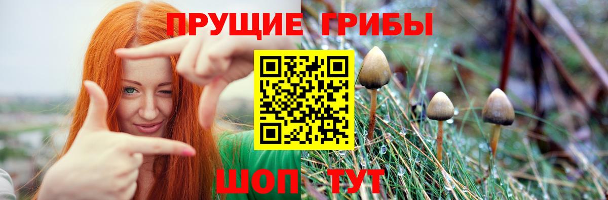 Галлюциногенные грибы GOLDEN TEACHER  Вход с VPN  Переславль-Залесский 