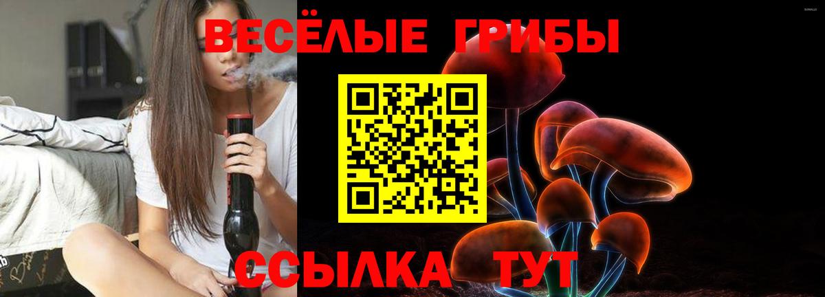 Псилоцибиновые грибы GOLDEN TEACHER Переславль-Залесский